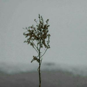 ❌ⅩX❌fcesg老熟妇
